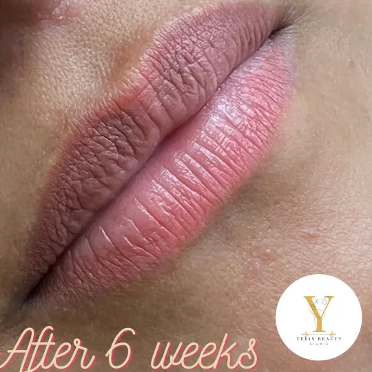 Permanent Makeup Lip Neutralization